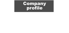 Company  profile